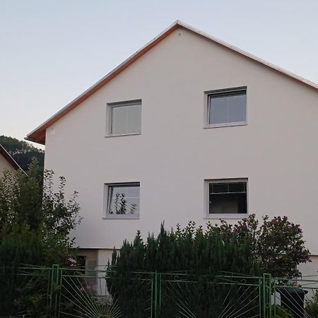 Apartmanovy Dum Terka Zázrivá Kültér fotó